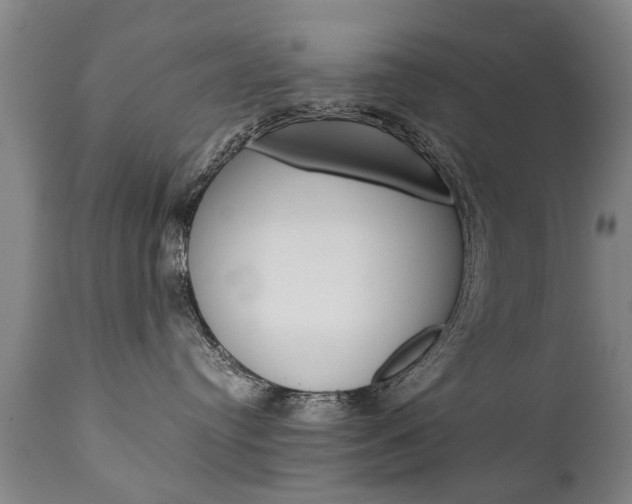 X0000111780384200907230955