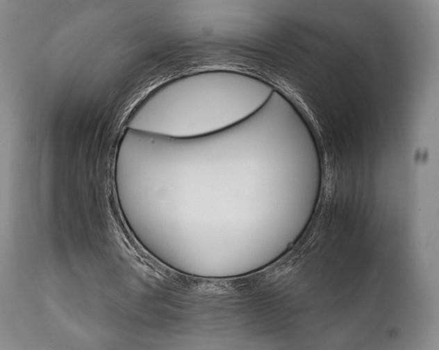 X0000111780386200907230954