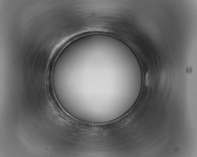 X0000111780388200907230954