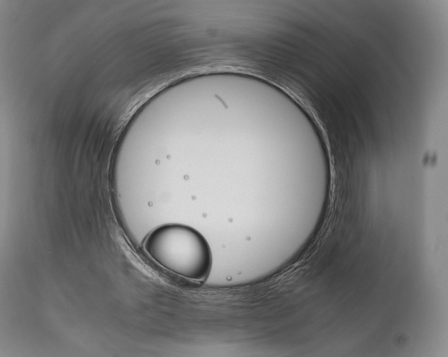 X0000111780389200907230954