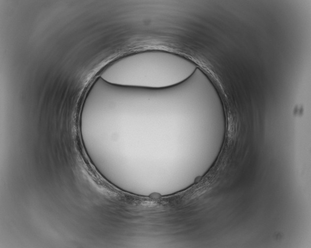 X0000111780390200907230954