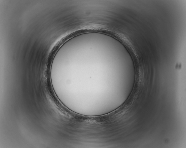 X0000111780392200907230954