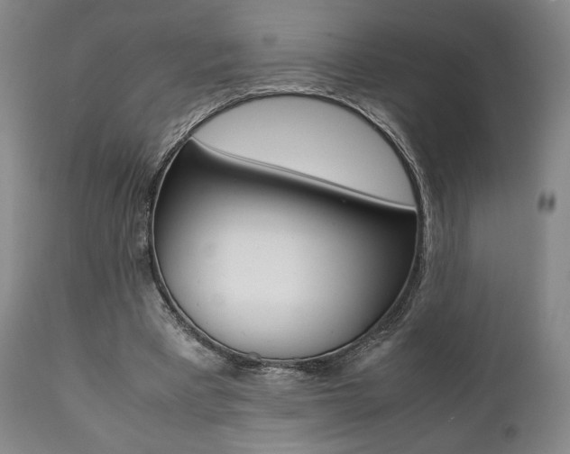 X0000111780393200907230954