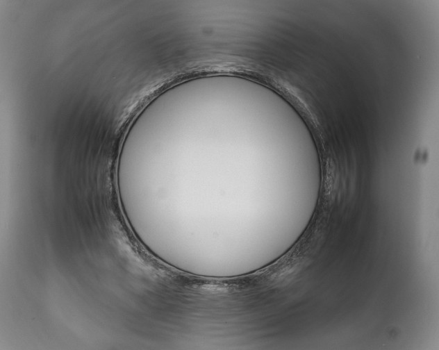 X0000111780394200907230954