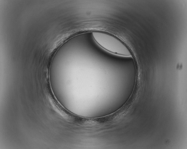 X0000111780397200907230954