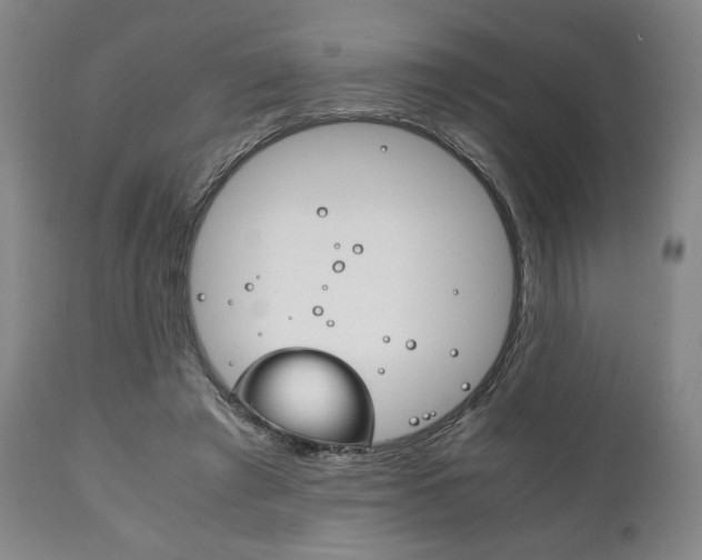 X0000111780401200907230954