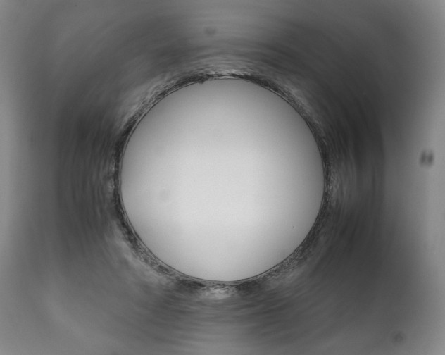 X0000111780402200907230954