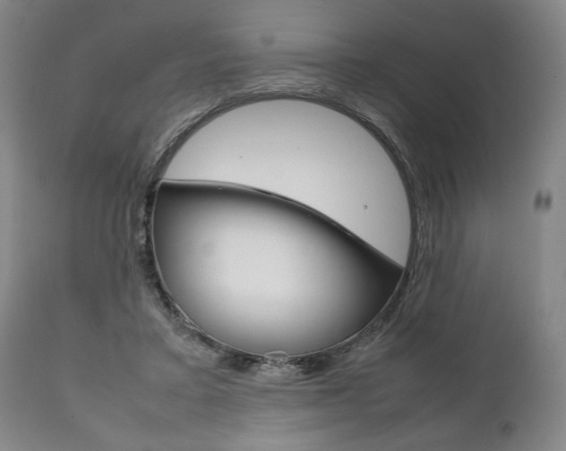 X0000111780403200907230954