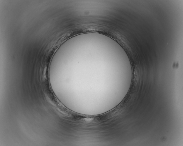 X0000111780406200907230954