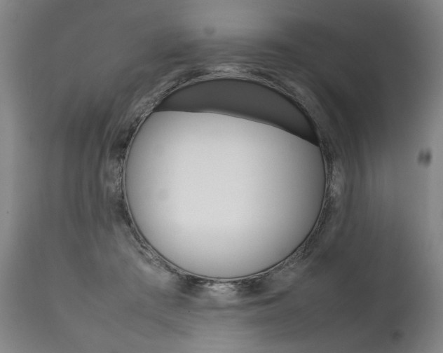 X0000111780409200907230954