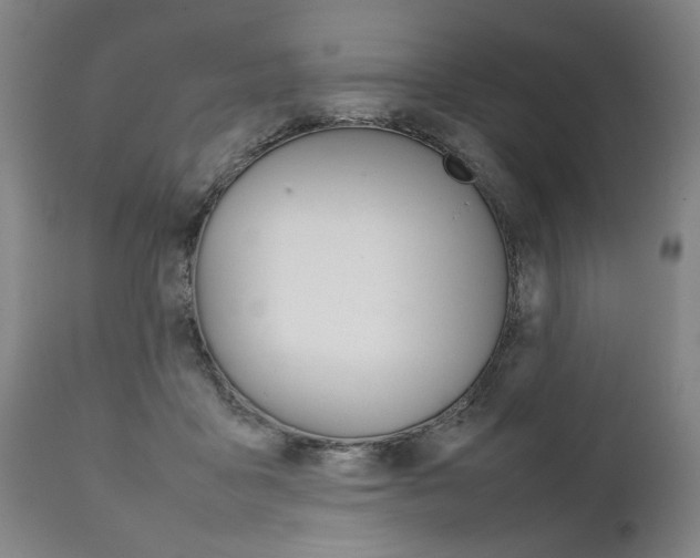 X0000111780411200907230954