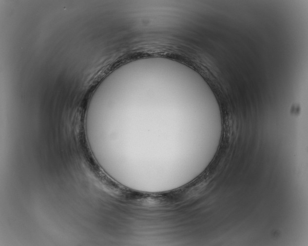 X0000111780412200907230954