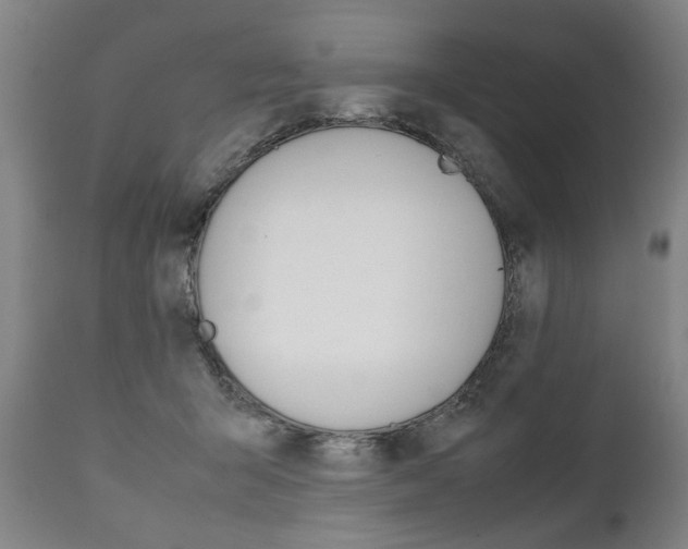 X0000111780415200907230954