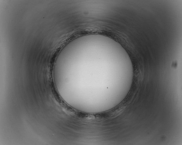 X0000111780416200907230954