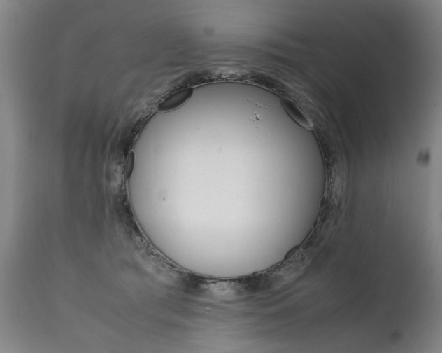X0000111780417200907230954
