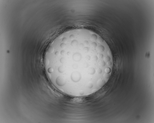 X0000111780418200907230954