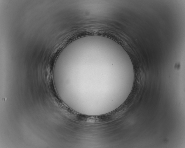 X0000111780420200907230954