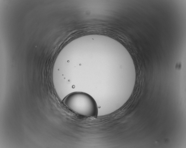 X0000111780421200907230954