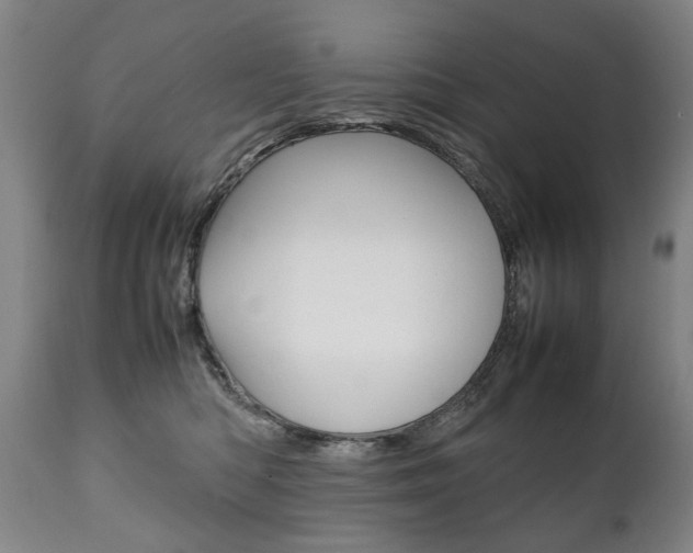 X0000111780422200907230954