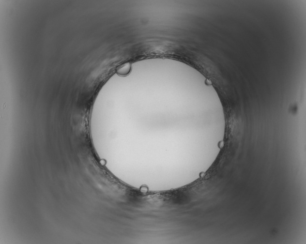 X0000111780423200907230954