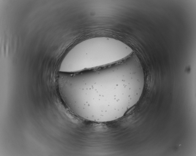 X0000111780424200907230954