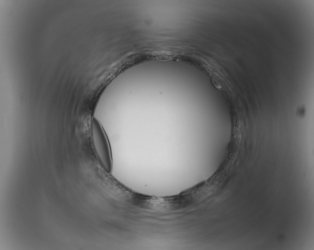 X0000111780425200907230954
