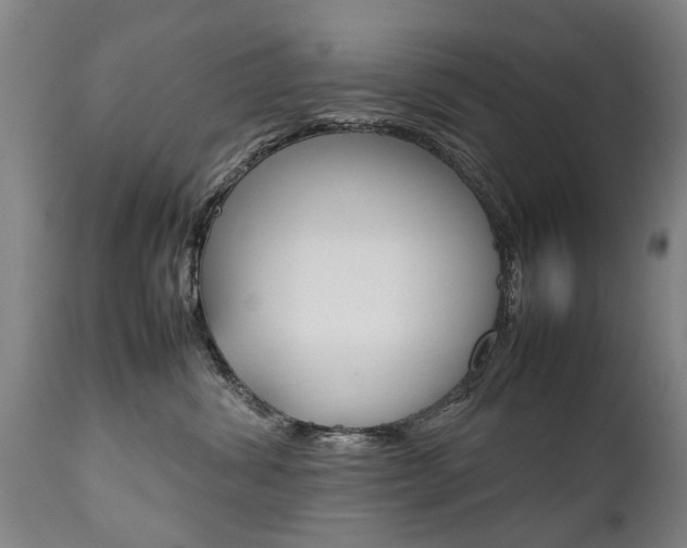 X0000111780428200907230954