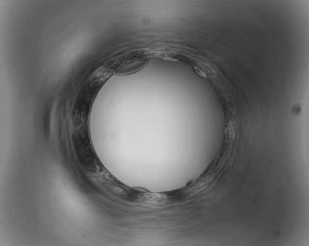 X0000111780429200907230954
