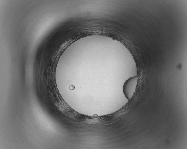 X0000111780430200907230954