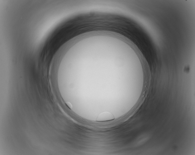 X0000111780431200907230954