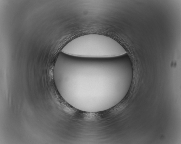 X0000111780432200907230953
