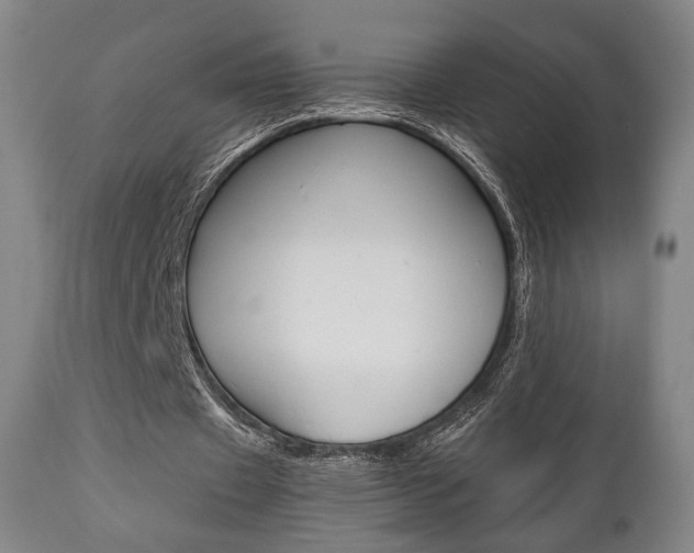 X0000111780433200907230953