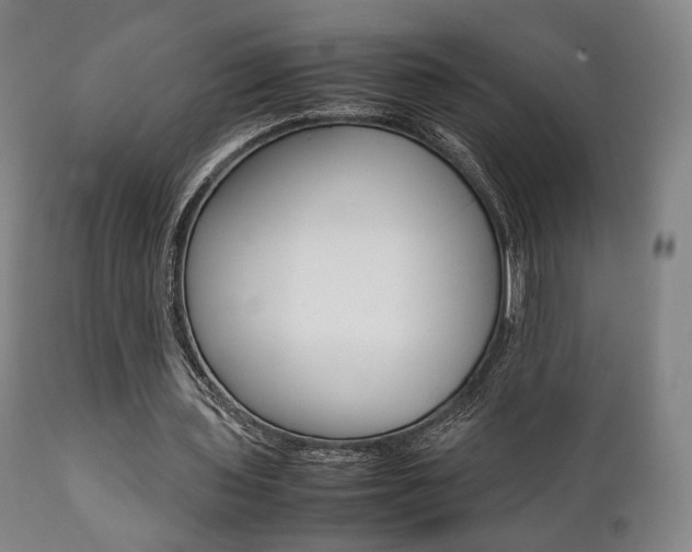 X0000111780435200907230953