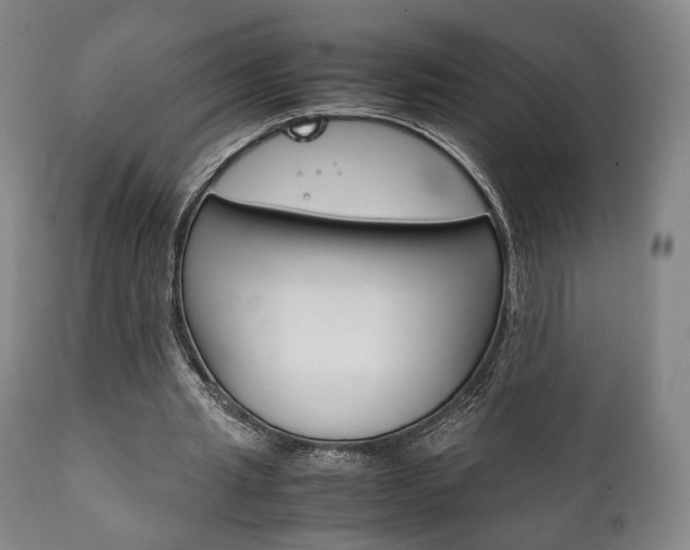 X0000111780437200907230953
