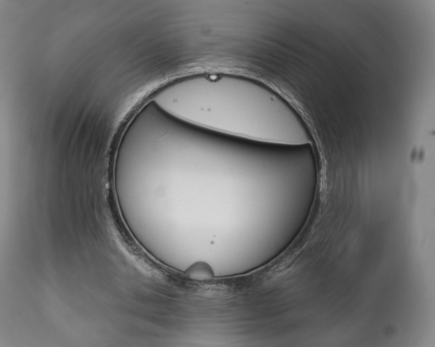 X0000111780438200907230953