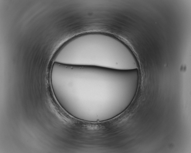 X0000111780439200907230953