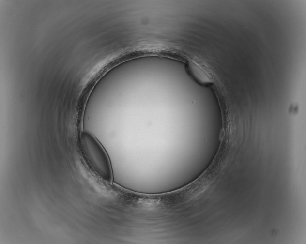 X0000111780440200907230953
