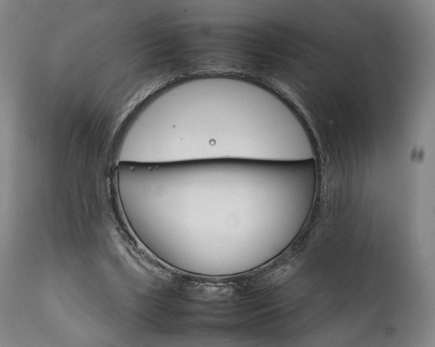 X0000111780443200907230953
