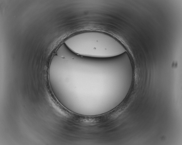 X0000111780445200907230953