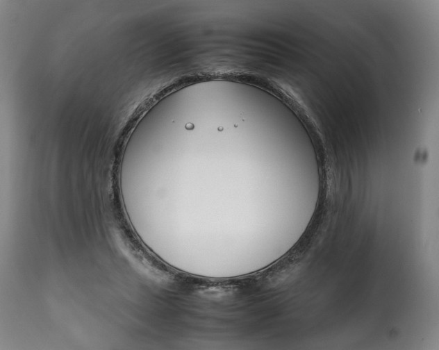 X0000111780447200907230953