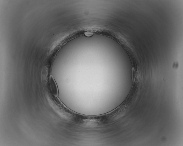 X0000111780448200907230953