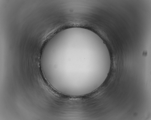 X0000111780450200907230953