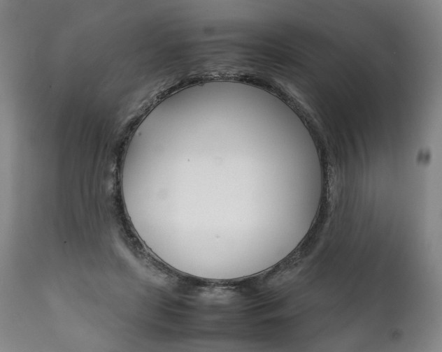 X0000111780451200907230953