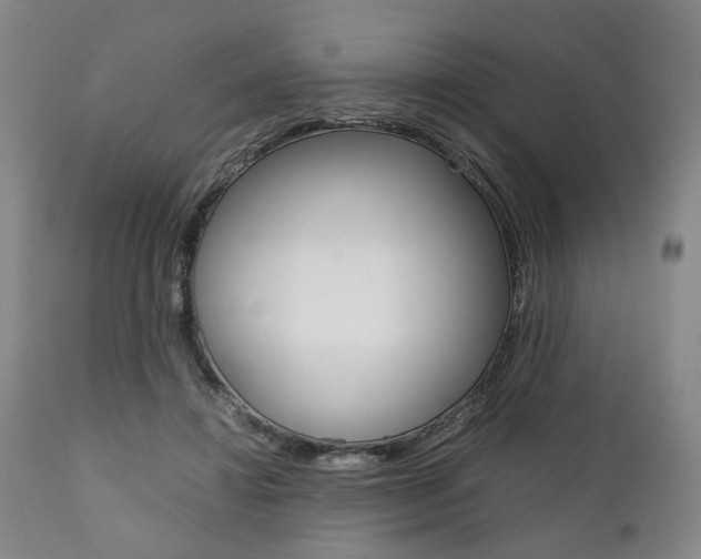 X0000111780452200907230953