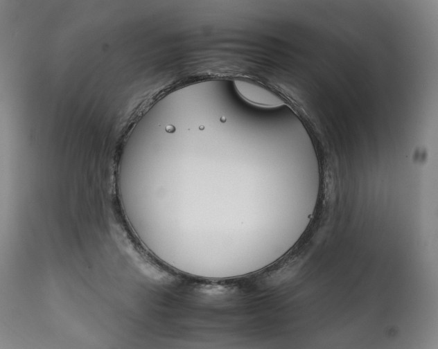 X0000111780453200907230953