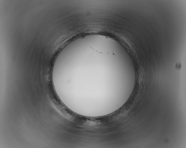 X0000111780455200907230953