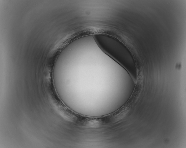 X0000111780456200907230953