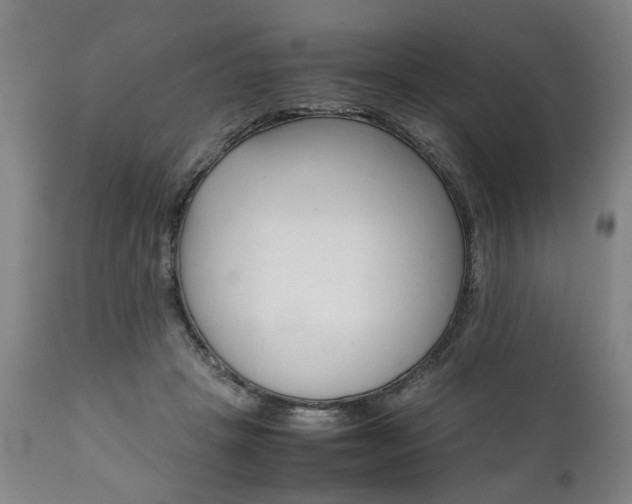 X0000111780457200907230953