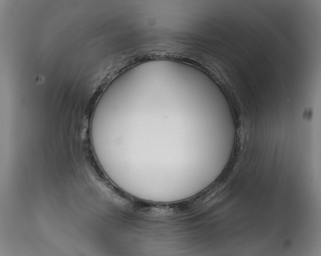 X0000111780458200907230953
