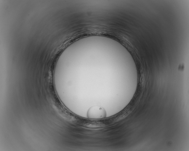 X0000111780459200907230953